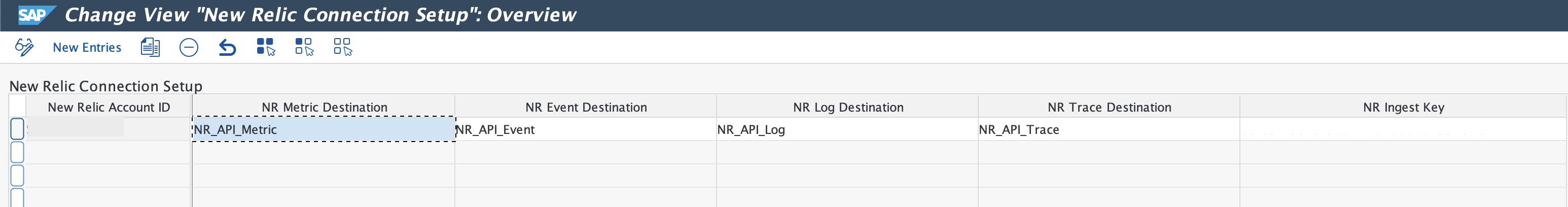 New Entry A screenshot displaying the SAP HANA database new entry